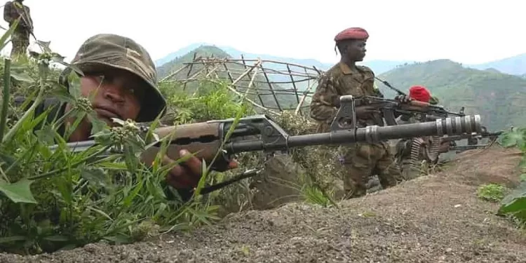 Violents affrontements entre les FARDC et le M23 dans le Nord-Kivu : le bilan s’alourdit