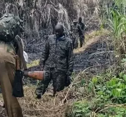 Guerre dans l&rsquo;Est : Les FARDC résistent et reprennent des positions stratégiques dans le Masisi