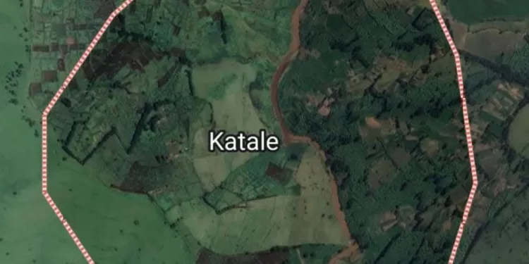 Agression Rwandaise: Washington appelle Kigali à un retrait immédiat de la RDC