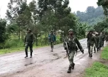 Les FARDC repoussent les assauts des M23-RDF sur Sake