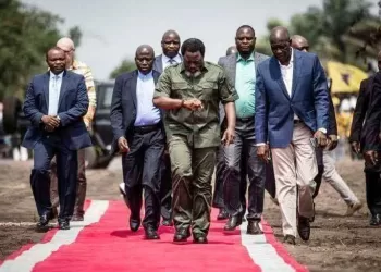 Opposition congolaise face au projet de réforme constitutionnelle : J. Kabila est-il le fédérateur recherché ?