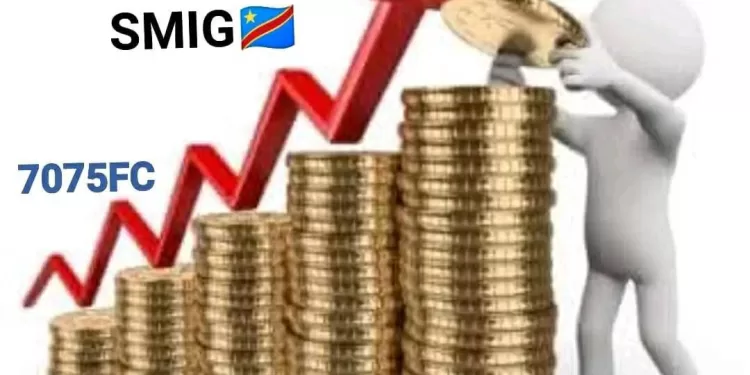 SMIG en RDC  : Le paradoxe du contexte Congolais