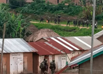 Reprise des combats entre les FARDC et le M23 dans le territoire de Lubero au Nord-Kivu