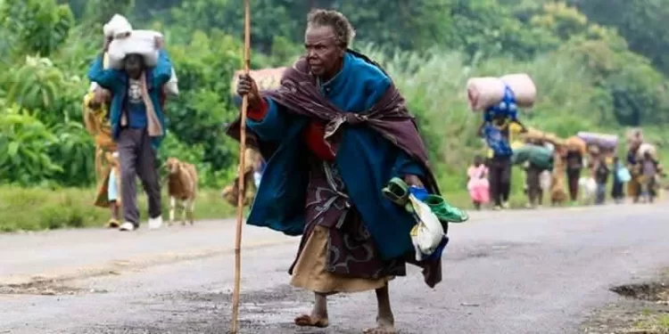 Nord-Kivu : Plus de 200 000 déplacés fuient les affrontements vers le territoire de Kalehe