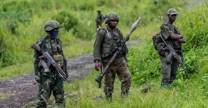 Nord-Kivu : Les FARDC appellent à l’unité nationale pour éradiquer la menace des rebelles rwandais