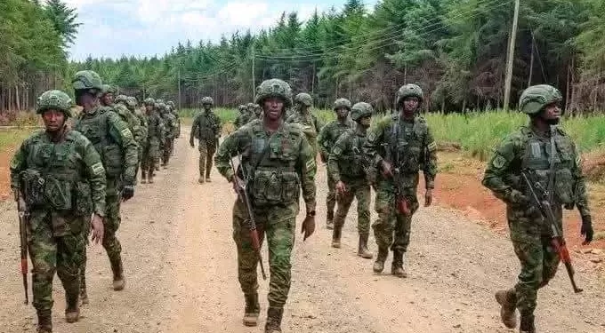 Agression rwandaise : Félix Tshisekedi appelle à la mobilisation générale