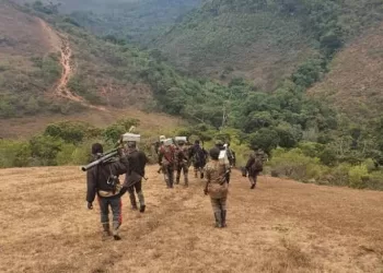 Agression Rwandaise : Impact sur l&rsquo;environnement en RDC