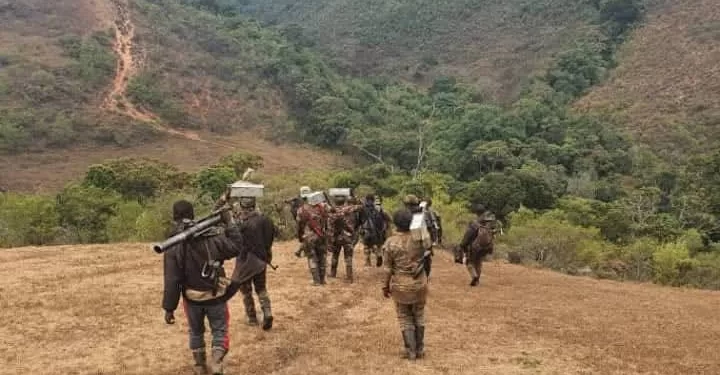 Agression Rwandaise : Impact sur l&rsquo;environnement en RDC