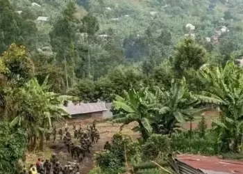 Sud-Kivu : Les FARDC repoussent une offensive du M23 à Kalehe