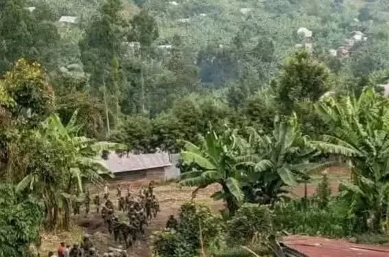 Sud-Kivu : Les FARDC repoussent une offensive du M23 à Kalehe