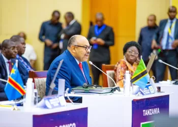 Sommet conjoint SADC-CAE : Vers une solution régionale à la crise sécuritaire dans l&rsquo;Est de la RDC