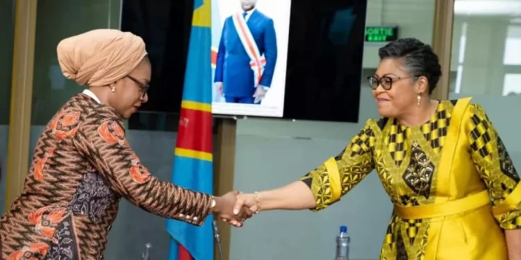 RDC : Adoption de l’Ordonnance-Loi sur les principes fondamentaux de la Culture et des Arts