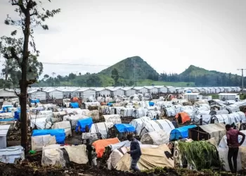 Crise humanitaire à Goma : MSF tire la sonnette d’alarme face aux déplacements forcés