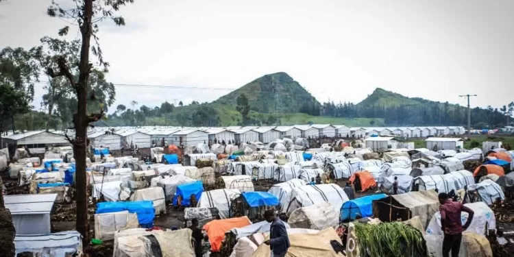 Crise humanitaire à Goma : MSF tire la sonnette d’alarme face aux déplacements forcés