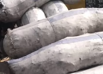 Kinshasa : Hausse du prix du sac de braises « Mikuati » au marché de la Liberté