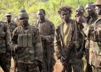 Beni : Deux civils tués par les ADF, la population terrorisée par les violences