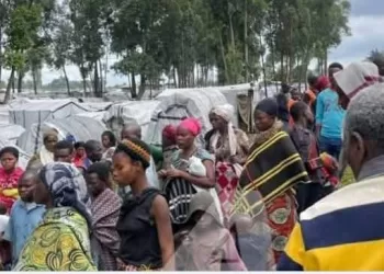 RDC : L’ONU dénonce les violations des droits humains dans les zones occupées par le M23
