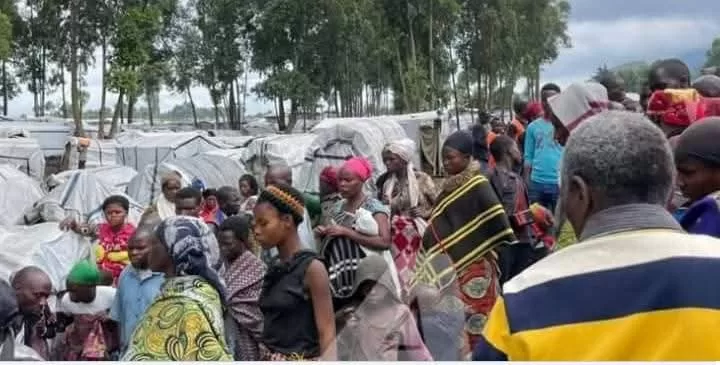 RDC : L’ONU dénonce les violations des droits humains dans les zones occupées par le M23