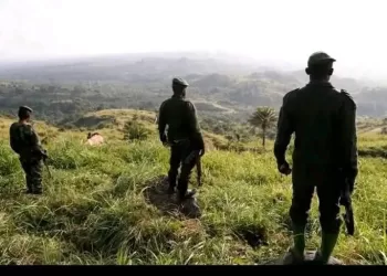 Processus de Paix : L’incertitude persiste sur les discussions entre le Gouvernement congolais et le M23 à Luanda