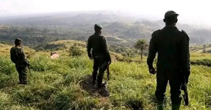Processus de Paix : L’incertitude persiste sur les discussions entre le Gouvernement congolais et le M23 à Luanda