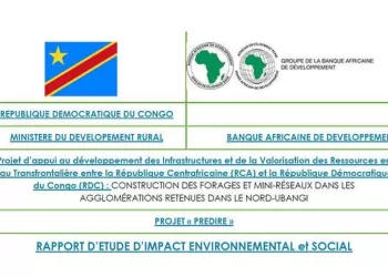 RDC : Félix Tshisekedi autorise la ratification d’un prêt de 30 millions USD avec le Fonds de l’OPEP