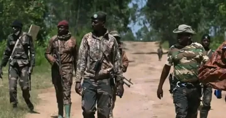 RDC : Entre urgences humanitaires et enjeux géopolitiques, l’Angola appelle à un cessez-le-feu