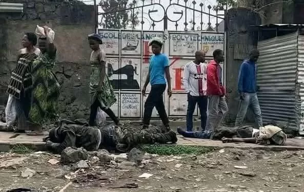 Agression rwandaise : la RDC ouverte à des négociations directes avec le M23