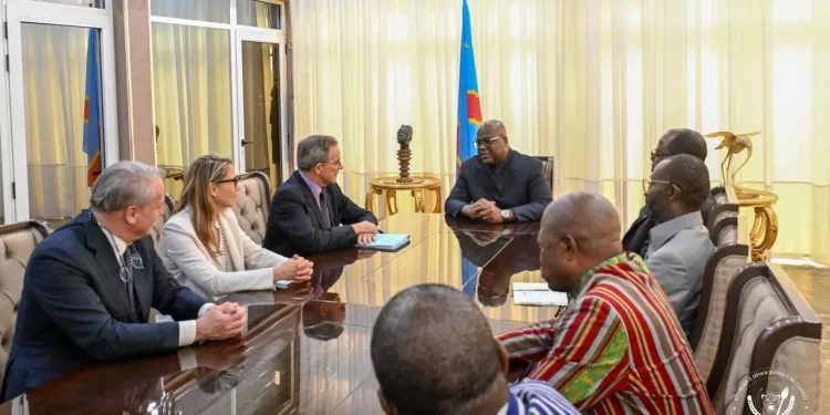 Kinshasa : Le Président Félix Tshisekedi reçoit une délégation de députés européens sur la situation sécuritaire en RDC