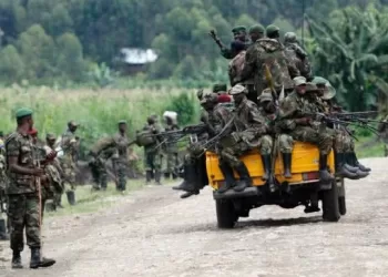 Walikale : Les rebelles de l’AFC/M23 se retirent, les FARDC et les Wazalendo reprennent position