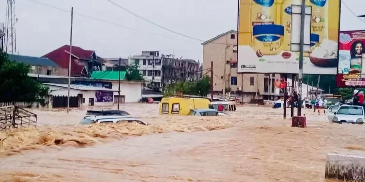 Kinshasa en larmes : la rivière Ndjili déchaîne sa colère et plonge la ville dans le chaos