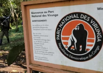 Centenaire du Parc national des Virunga : Entre splendeur naturelle et menaces persistantes