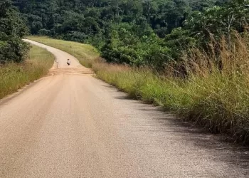 Guerre dans l’Est : Les entreprises congolaises sous occupation du M23 réclament un statut particulier pour survivre