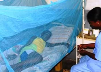 Santé – Paludisme : Une mobilisation collective urgente pour vaincre le fléau