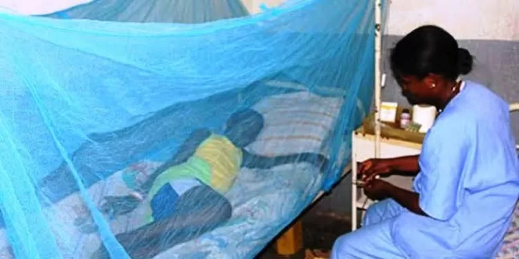 Santé – Paludisme : Une mobilisation collective urgente pour vaincre le fléau