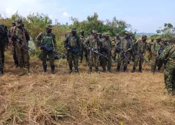 Opérations Shujaa RDC-Ouganda : Évaluation stratégique et nouvelle dynamique face à la menace ADF