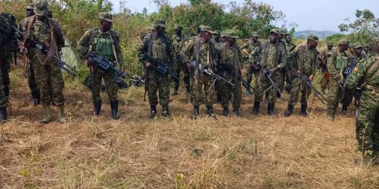 Opérations Shujaa RDC-Ouganda : Évaluation stratégique et nouvelle dynamique face à la menace ADF