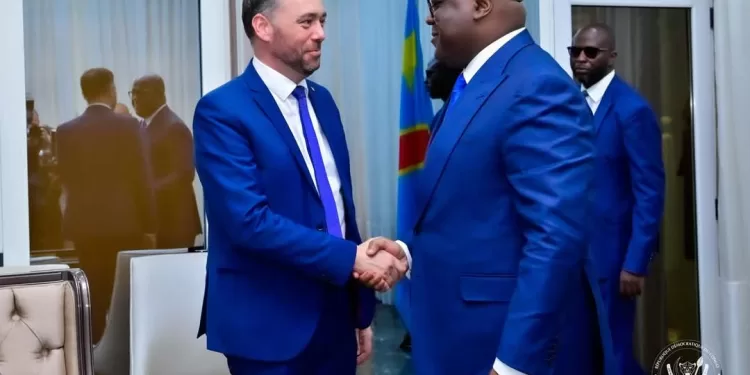 Crise sécuritaire dans l’Est de la RDC : la Belgique réaffirme son soutien aux initiatives diplomatiques de paix