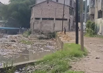 Kinshasa : le gouvernement provincial démolit des constructions anarchiques sur l’avenue Mapenza à Ngaliema