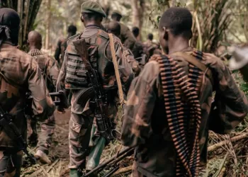 Nord-Kivu : L’insécurité et le manque de ressources freinent la mise en œuvre du budget provincial