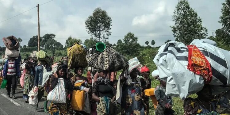 RDC : La délégation congolaise à l’ONU tire la sonnette d’alarme sur la crise humanitaire dans l’Est du pays