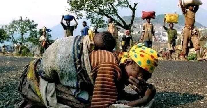 RDC : La délégation congolaise à l’ONU tire la sonnette d’alarme sur la crise humanitaire dans l’Est du pays