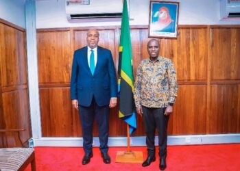 Hydrocarbures : la RDC et la Tanzanie renforcent leur coopération stratégique