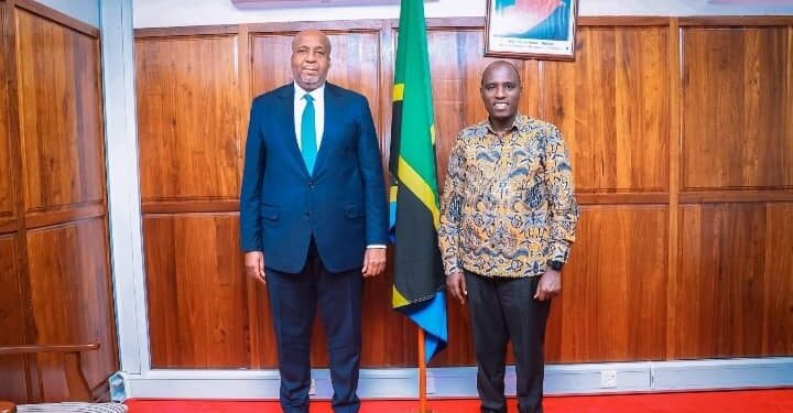 Hydrocarbures : la RDC et la Tanzanie renforcent leur coopération stratégique