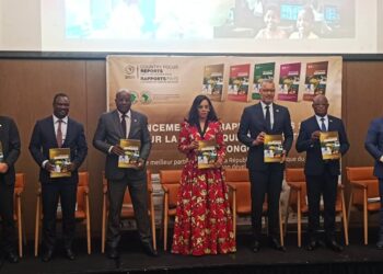 Économie congolaise : Un bilan 2024 en demi-teinte selon la BAD