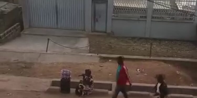 Kinshasa : Détresse d’enfants ou stratégie d’arnaque déguisée ? La charité en question