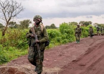 Nord-Kivu : M23, visage de la terreur malgré le cessez-le-feu de Doha