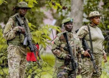 RDC : l’armée dénonce l’attitude « belliciste » du M23-AFC malgré les engagements de paix
