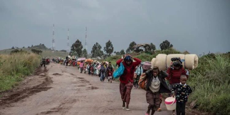 RDC : Les violences sexuelles en hausse de 38 % en juillet, le M23 principal auteur dans les zones de conflit
