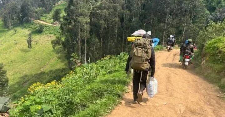 Est de la RDC : Bras de fer ethno-politiques, Uvira dans une crise sécuritaire