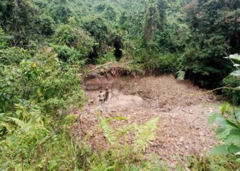 RDC : 8,24 millions USD du FEM pour renforcer la résilience climatique dans les zones touchées par les conflits